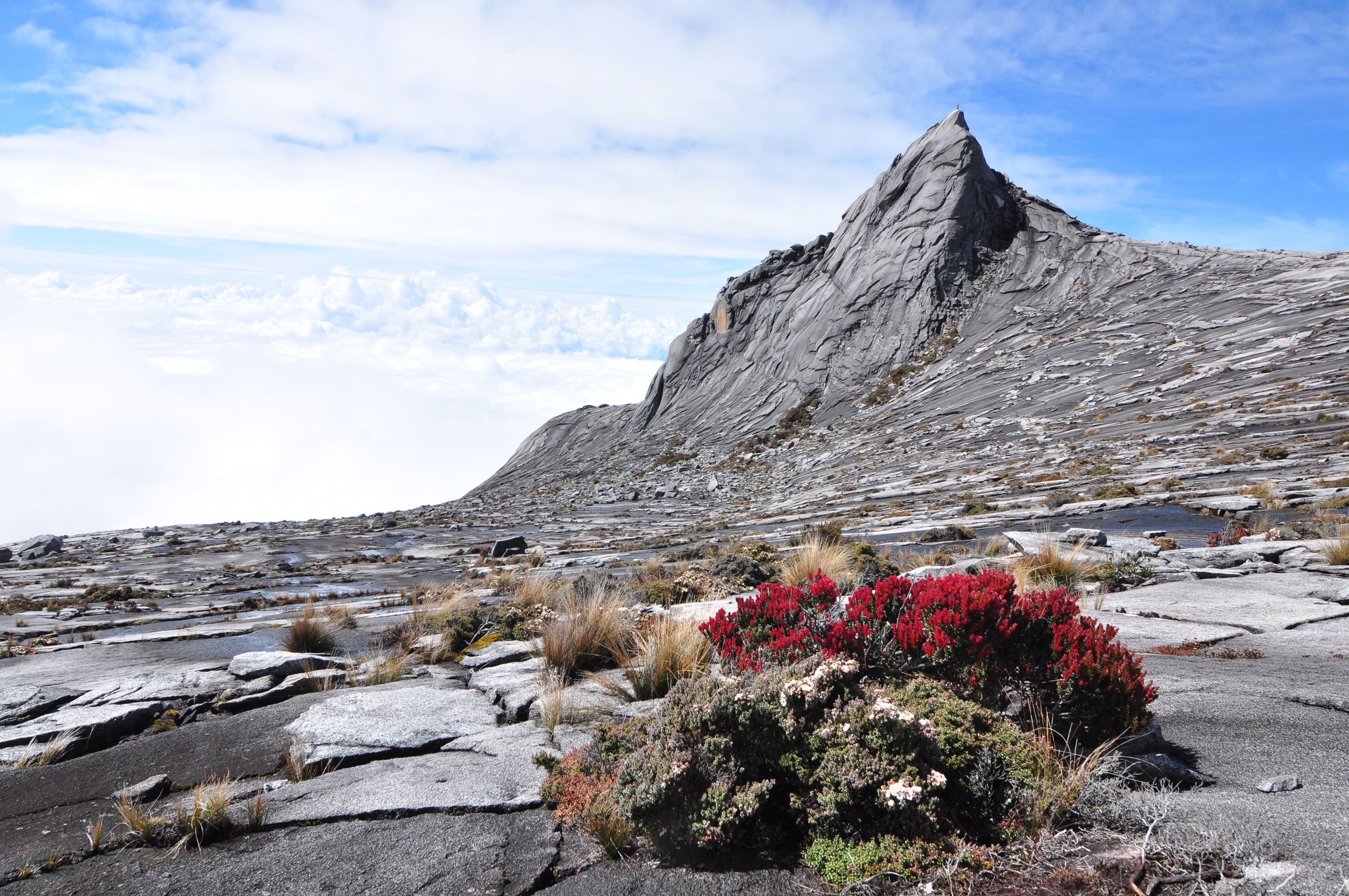 Panoramic Malaysian landscape — mountains, heritage, and rainforest